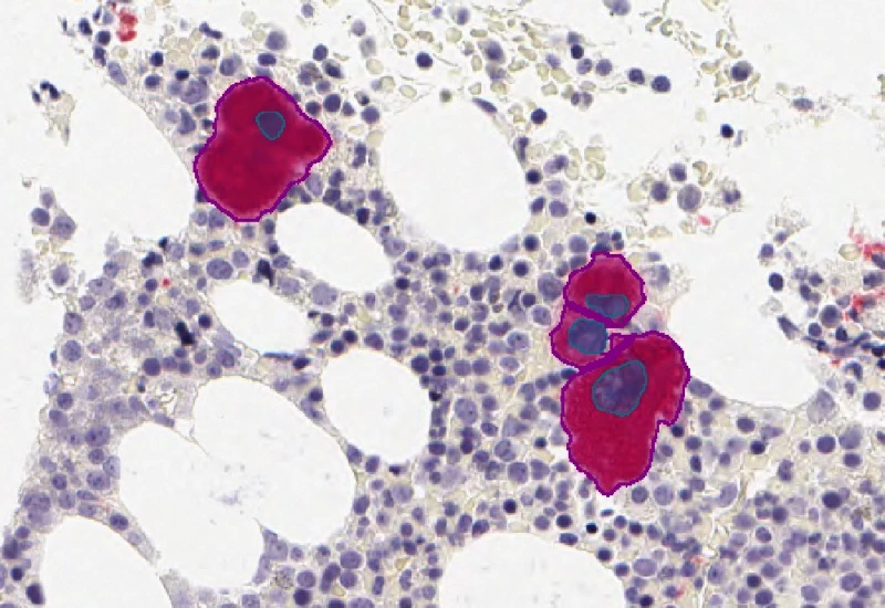 Dynamic Content Image